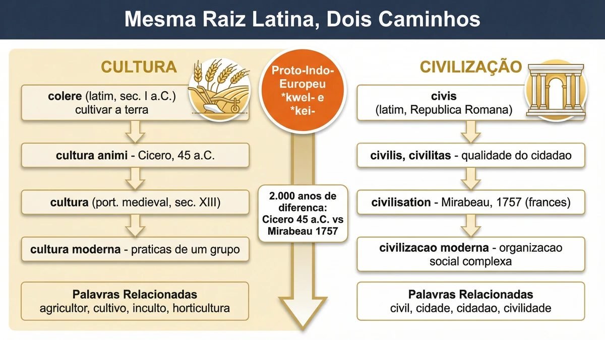 Diferença entre cultura e civilização: diagrama comparativo das raízes latinas colere e civitas, com metáforas fundadoras campo vs. cidade e evolução até o português