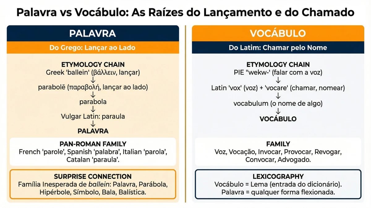 Diferença entre palavra e vocábulo: diagrama das raízes parabolē e vocare, com família inesperada que conecta palavra e bala.